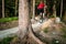 Mountain biker riding cycling in summer forest