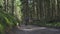 Mountain Biker Riding on a mountain bike through the forest