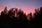 Mountain Biker standing on top of hill at sunset with trees