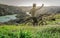 Mountain biker on top of a hill climb