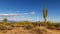 Mountain Bikers On AZ Desert Trail With Cactus