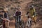Mountain Bikers on a Desert Trail