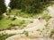 Mountain Bikers riding through woods