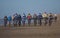 Mountain bikers taking part in the beach race Egmond-Pier-Egmond ride along the sea shore