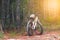 Mountain bikes and white helmets with pine tree forests background