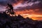 Mountain biking bliss, Silhouette of cyclist on rocky trail at sunset