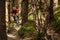 Mountain Biking through dense pine trees in Ireland