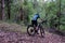 Mountain biking person riding on bike in the forest