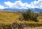 Mountain biking in Sacred Valley, Peru