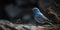 Mountain Bluebirdon a blurry background. Generative AI