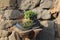 Mountain boot with green plants.Objects and plants concept