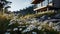 Mountain Cabin On Grass With Daisies - Polished Concrete Style