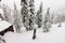 Mountain Cabin During a Winter Blizzard