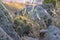 Mountain cactus growing between boulders