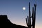 Mountain, Cactus and Moon