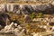 Mountain Cappadocia landscape ,Turkey. Goreme national park.