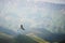 Mountain Caucasian eagle flies in the sky against the backdrop of rocky mountains and plateaus. The concept of coast and