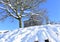 Mountain church Ermita de San Lorenzo after a snowfall with trees and blue sky. Piornedo Village, Ancares, Lugo, Galicia, Spain.