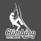 Mountain climbing vintage logos