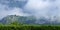 Mountain cloud behind hedge