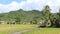 Mountain clouds high rise coco tree of land farm site with a blue sky good weather on farm