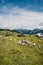 Mountain cottage hut or house on hill Velika Planina alpine meadow landscape. Eco farming. Travel destination for family hiking. K