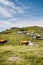 Mountain cottage hut or house on hill Velika Planina alpine meadow landscape. Eco farming. Travel destination for family hiking. K