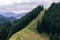 a mountain covered with conifers and green grass with a well-trodden path to the top