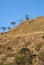 Mountain covered with dry grass, deforestation in Guatemala, colorful sunset. Central America.