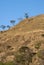 Mountain covered with dry grass, deforestation in Guatemala, colorful sunset. Central America.