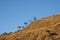 Mountain covered with dry grass, deforestation in Guatemala, colorful sunset. Central America.