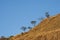 Mountain covered with dry grass, deforestation in Guatemala, colorful sunset. Central America.