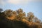 Mountain covered with dry grass, deforestation in Guatemala, colorful sunset. Central America.