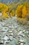 Mountain creak in autumn, Gran Paradiso National Park, Italy