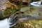 mountain creek with crystal-clear water at Weissbachschlucht