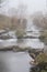 Mountain creek flows Small river and coniferous trees reflected in calm alpine lake in early morning. Tranquil misty