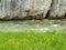 Mountain creek between rock wall and flowering meadow