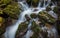 A mountain creek rushing into rapids surrounded by mossy rocks