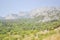 Mountain Crimea rocks and trees on slope, forest