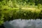 Mountain Dead Lake in the forest in the national park in the Skole Beskids near Lviv