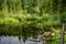 Mountain Dead Lake in the forest in the national park in the Skole Beskids near Lviv