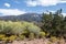 Mountain desert and crisp blue sky at its best