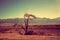 Mountain desert landscape. Dry tree in the desert