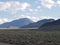 Mountain desert landscape flowers sagebrush