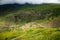 Mountain dirt road serpentine winding among green hills