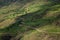 Mountain dirt road serpentine winding among green hills