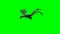 mountain dragon flying - 2 different versions 1 - green screen