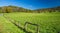 Mountain Farm at the Base of Sinking Creek Mountain - 2