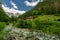 Mountain farm house landscape. Mountain cottage on summer green landscape. Summer green mountain cottage