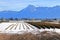 Mountain and Farm Landscape in Winter